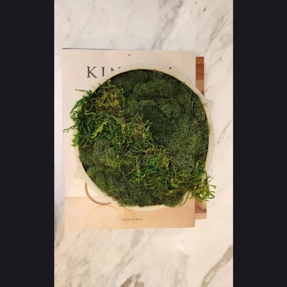 HANDMADE Preserved Moss Bowl Centerpiece